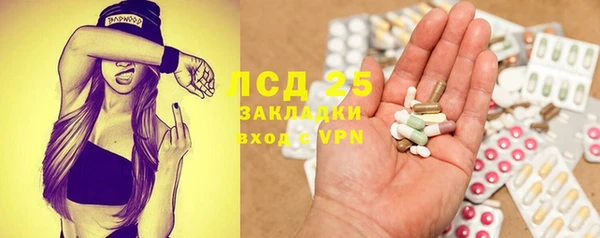 спиды Липки