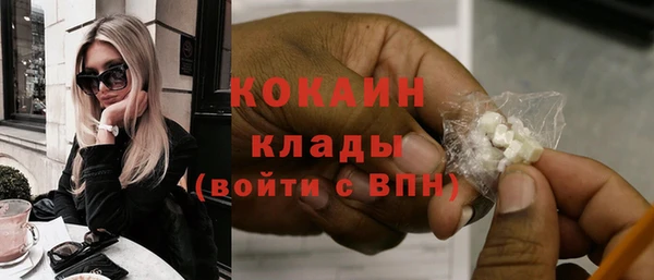 соль ск Кулебаки