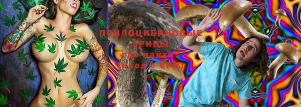дурь Весьегонск